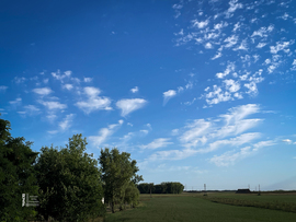Medúzafelhők 