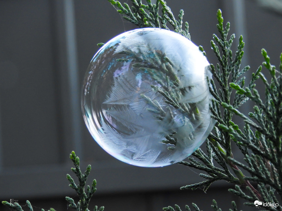 A tél álma egy buborékban