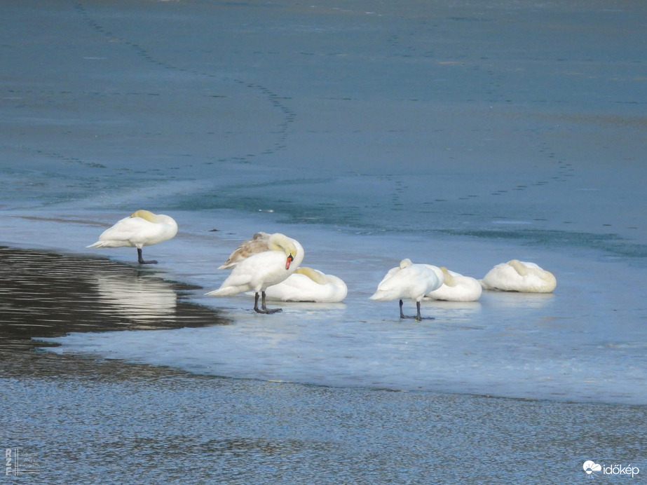 Vajon teljesen befagyhat a Tisza?