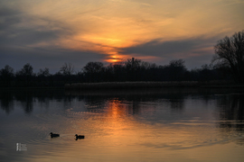 Szaharai poros naplemente