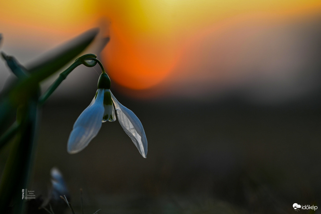 Szaharai poros naplemente
