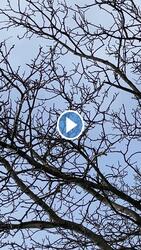 Kiscipőt, kiscipőt