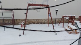 Nyúl