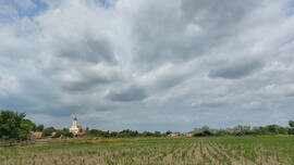 Nyúl