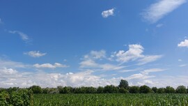 Nyúl