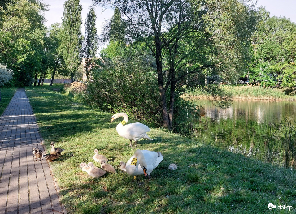 Győr