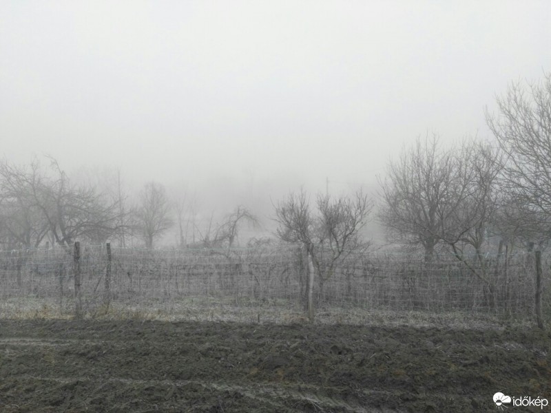 Tényő