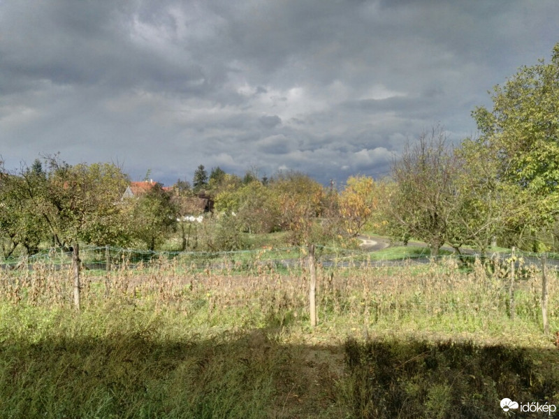 Tényő