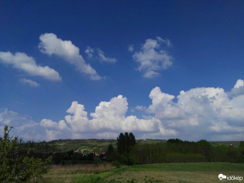 Tényő