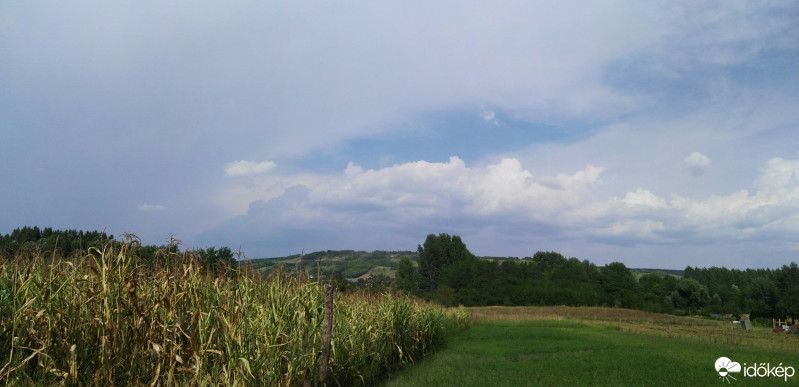 Tényő