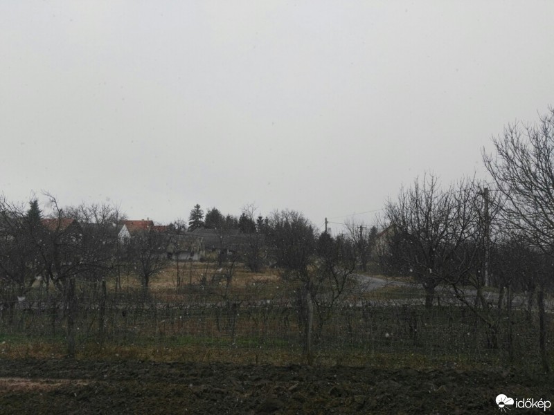 Tényő