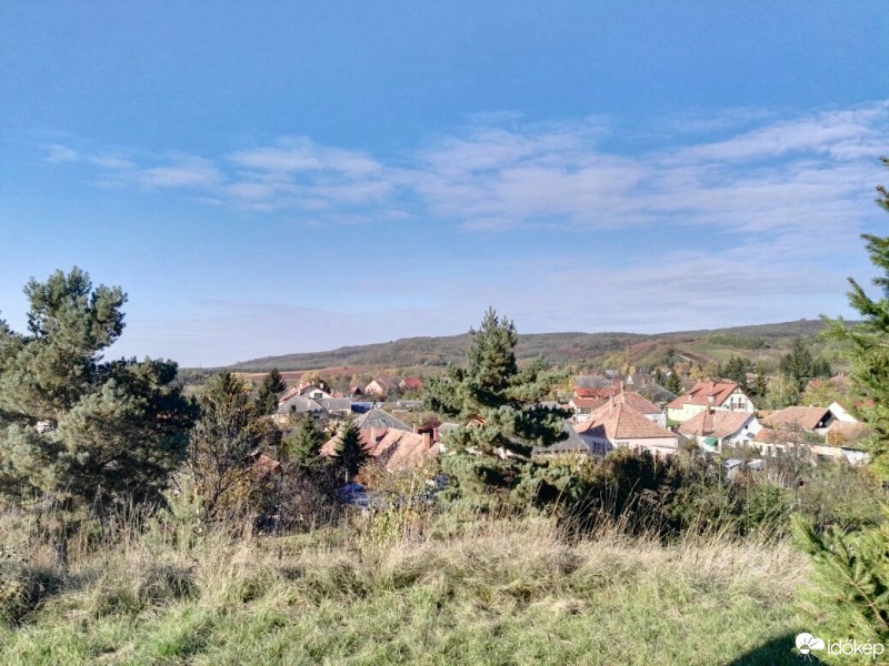 Tényő