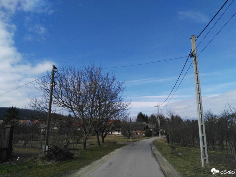 Tényő