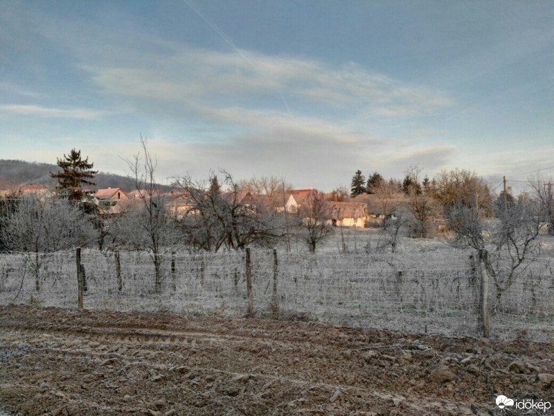 Tényő