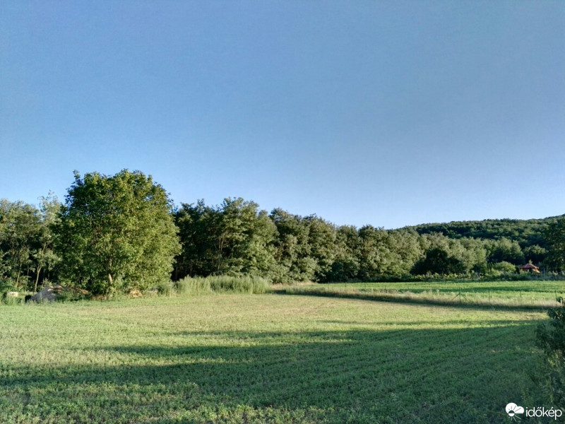 Tényő