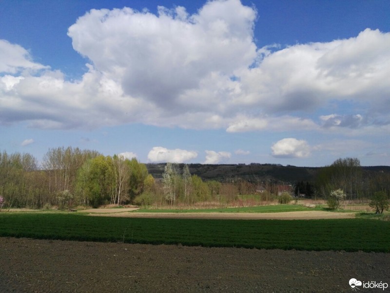 Tényő