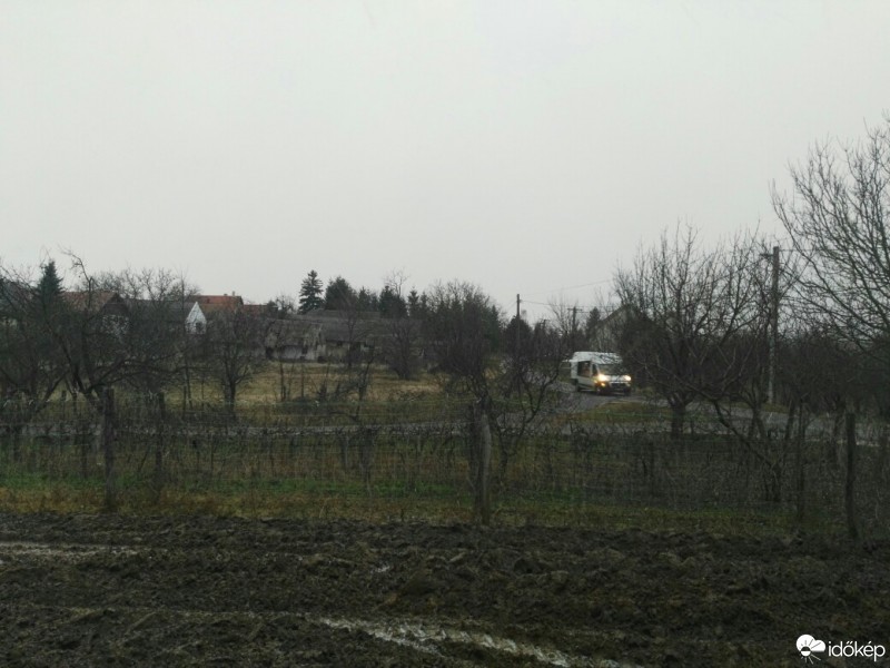 Tényő