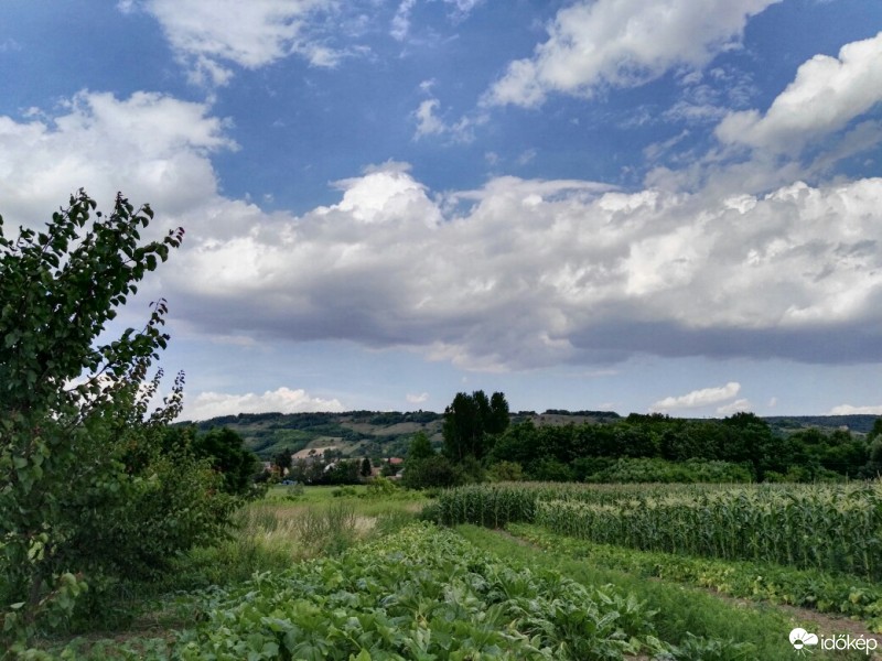 Tényő