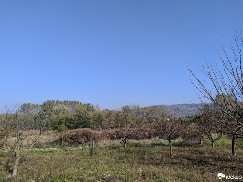 Tényő