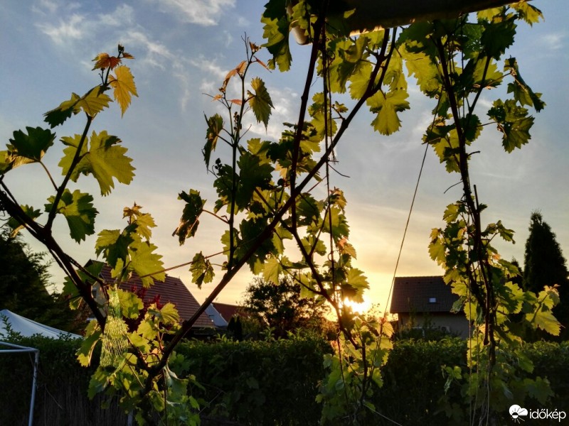 Halásztelek