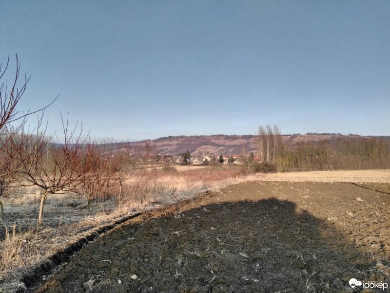 Tényő