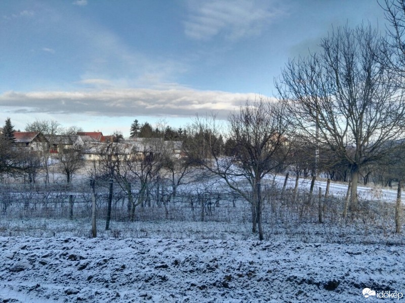 Tényő