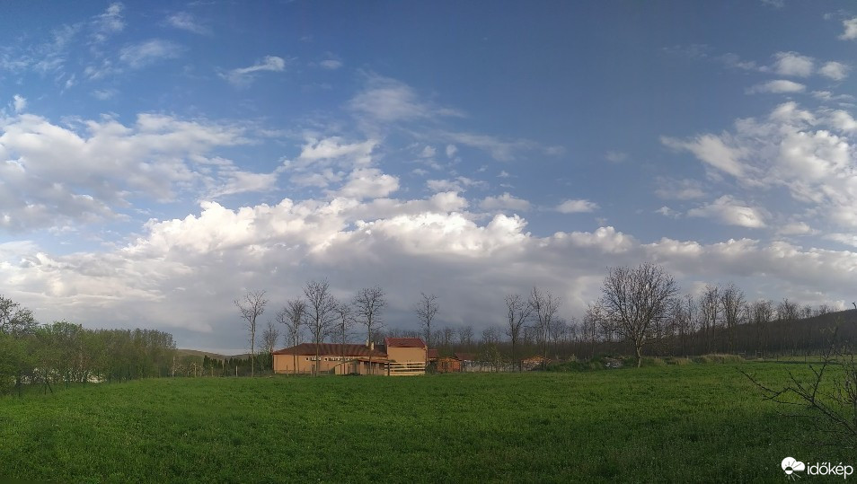 Tényő