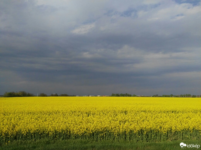 Szigethalom
