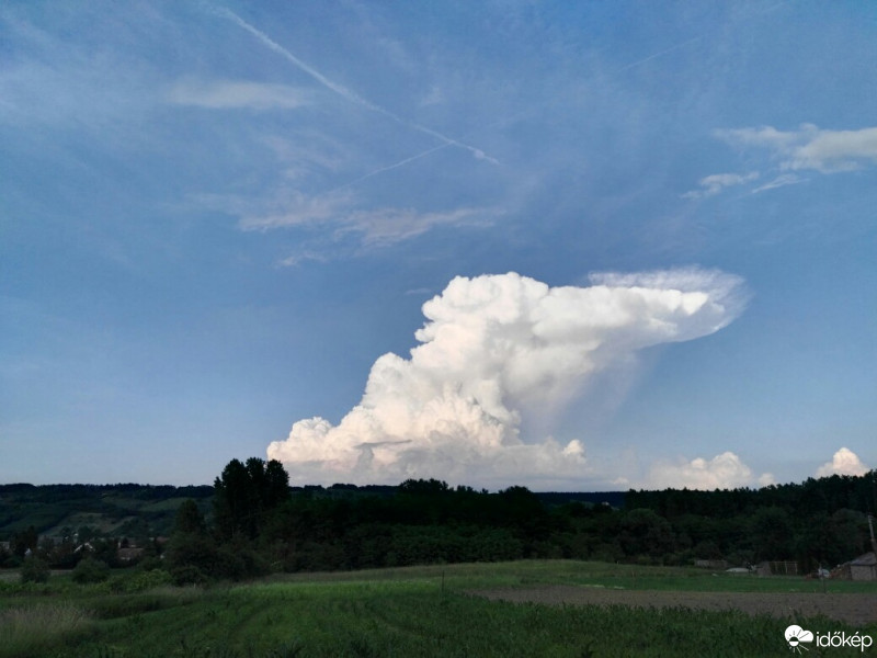 Tényő