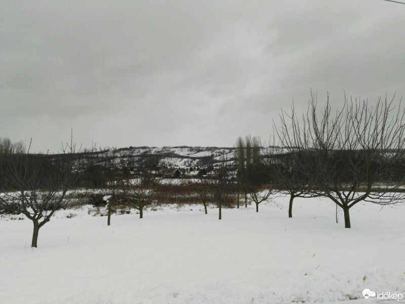 Tényő