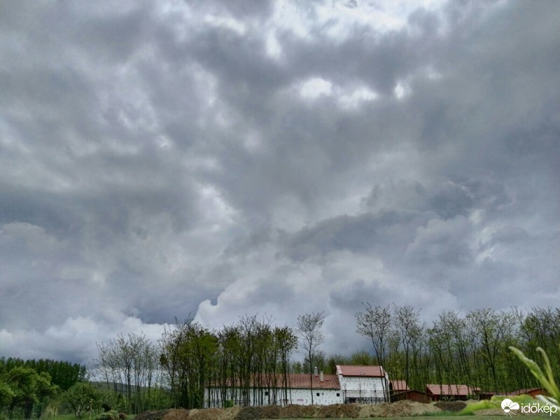 Tényő