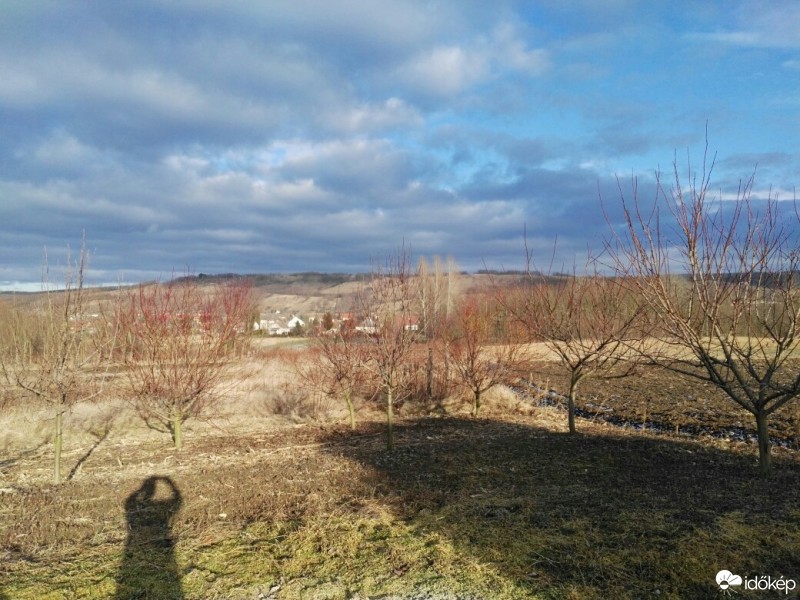Tényő