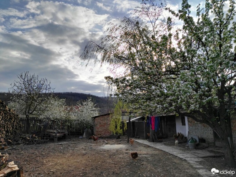 Tényő