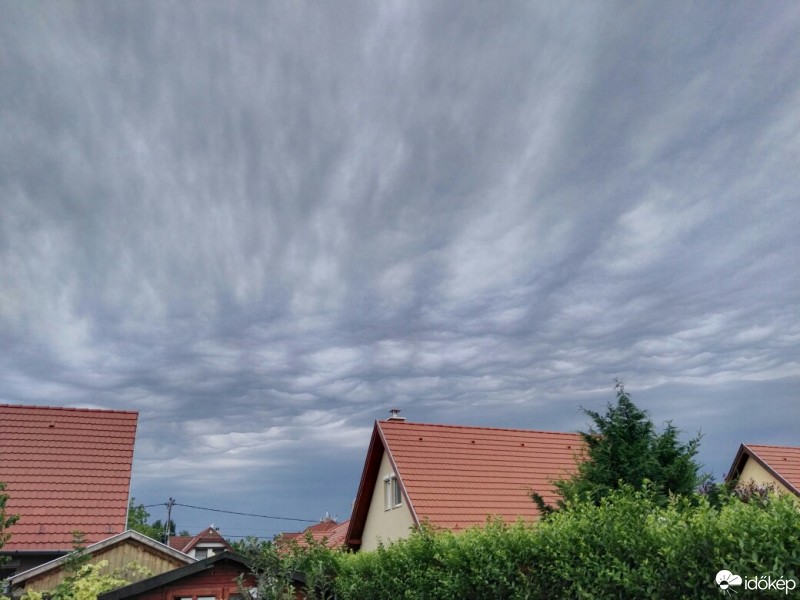 Halásztelek