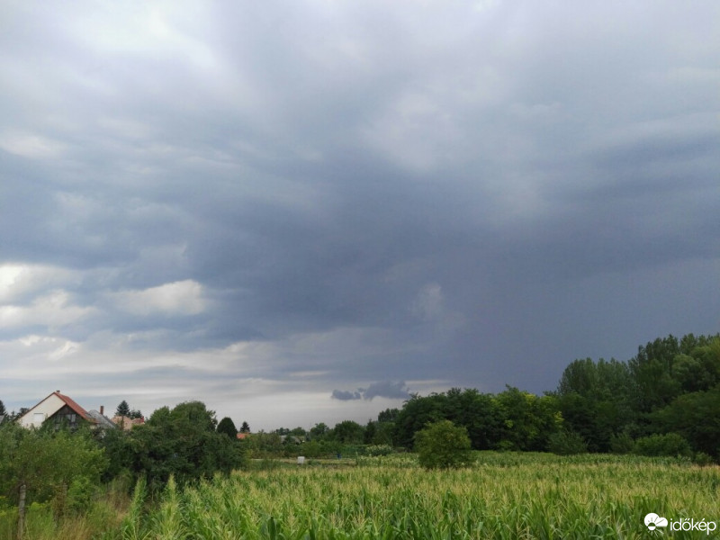 Tényő