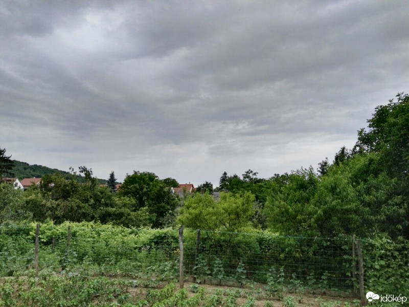 Tényő