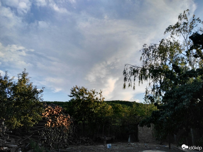 Tényő