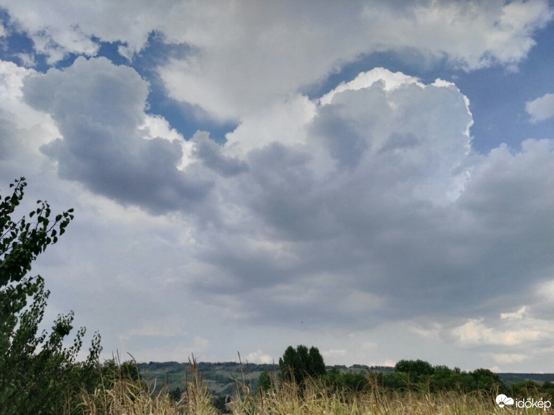 Tényő