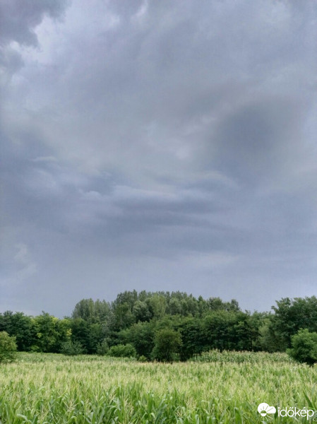 Tényő