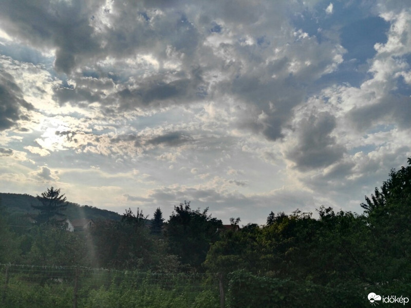 Tényő