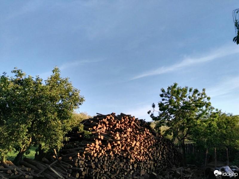 Tényő