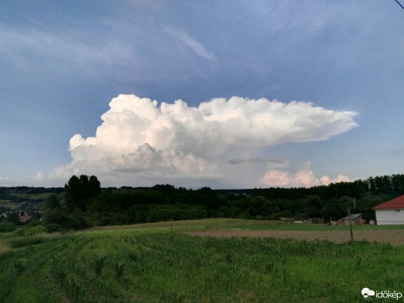 Tényő