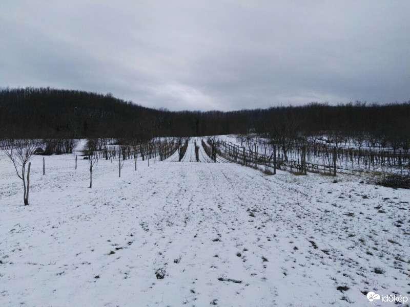 Tényő