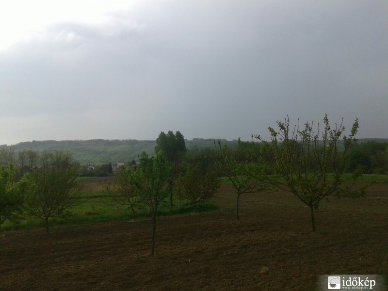 Tényő
