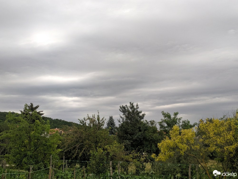 Tényő