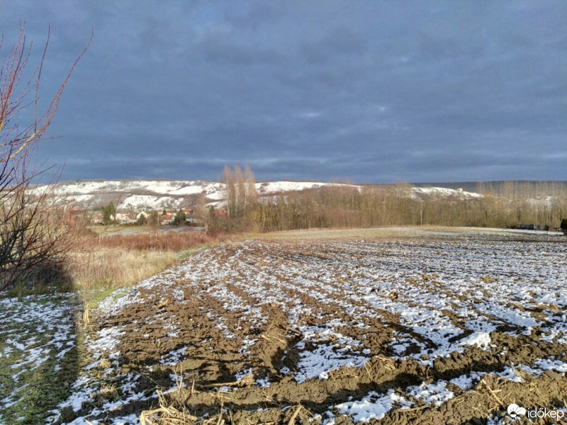 Tényő