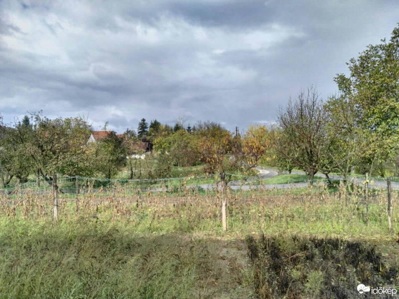 Tényő