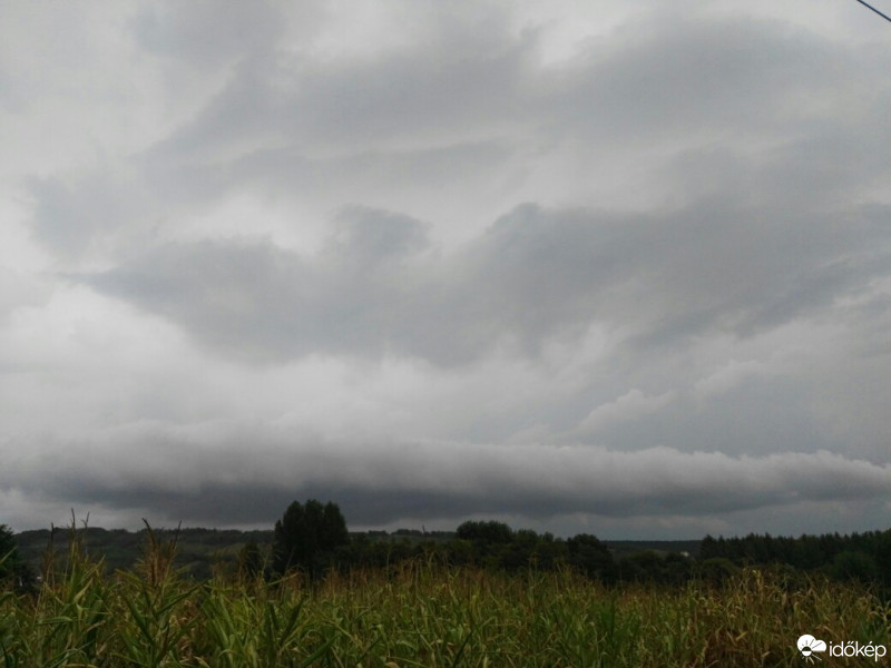 Tényő