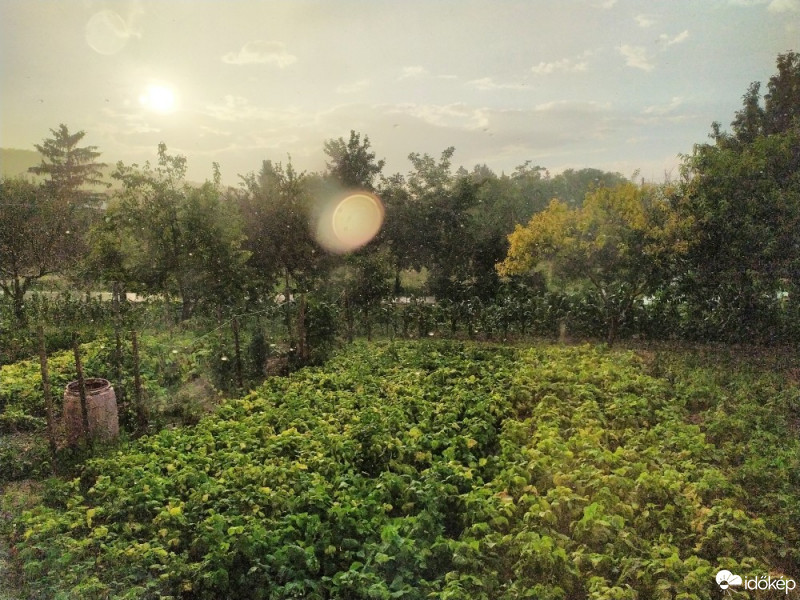 Tényő