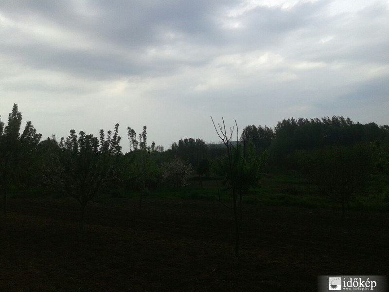 Tényő